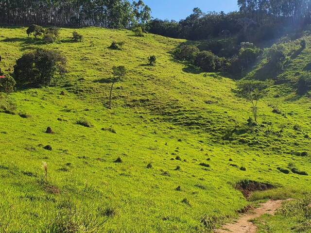 #AR0770 - Área Rural para Venda em Natividade da Serra - SP - 3