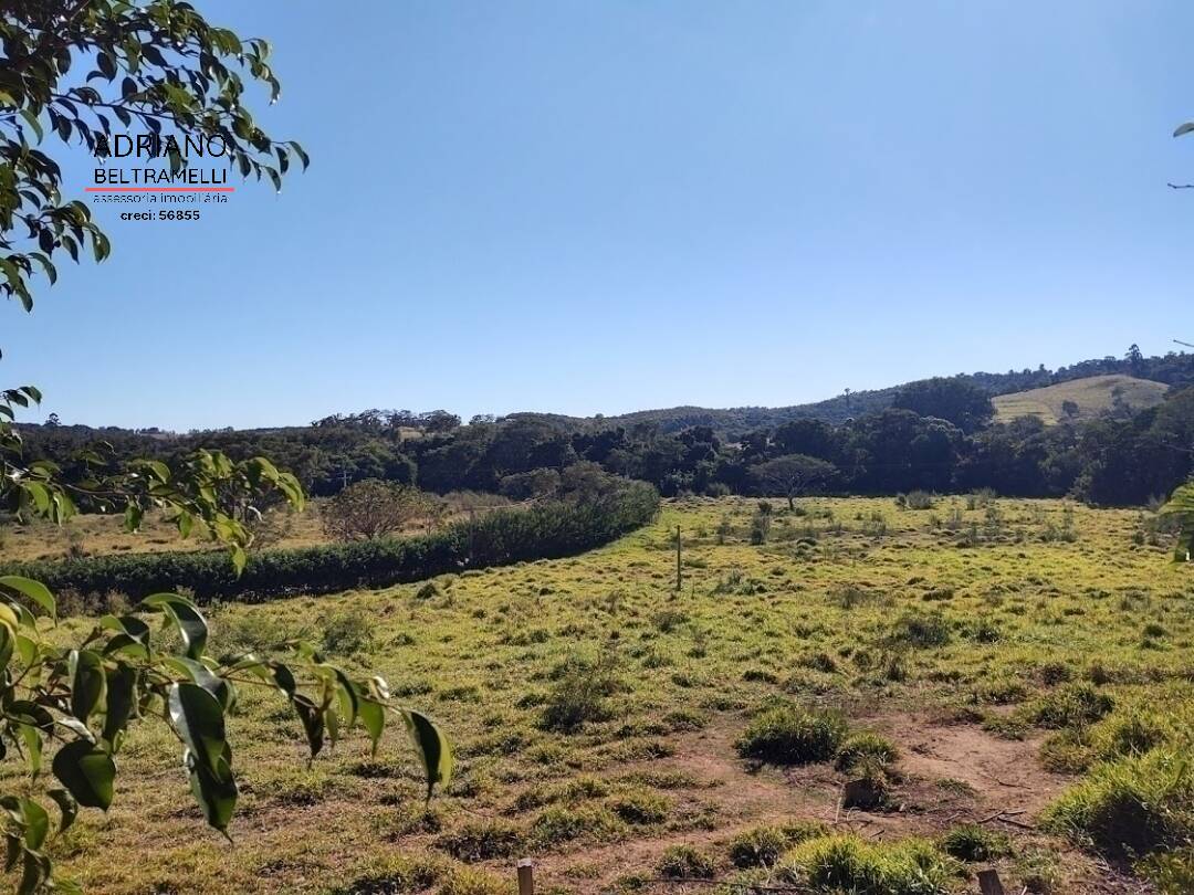 Fazenda à venda com 4 quartos, 55000m² - Foto 16