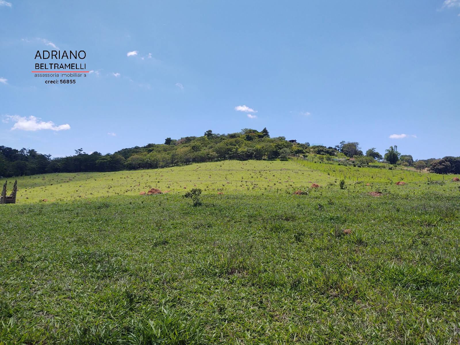 Fazenda à venda com 1 quarto, 27000m² - Foto 4