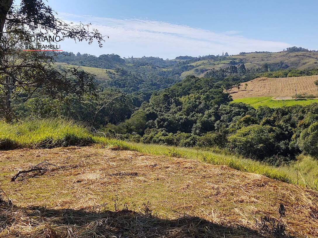 Fazenda à venda com 2 quartos, 20211m² - Foto 9