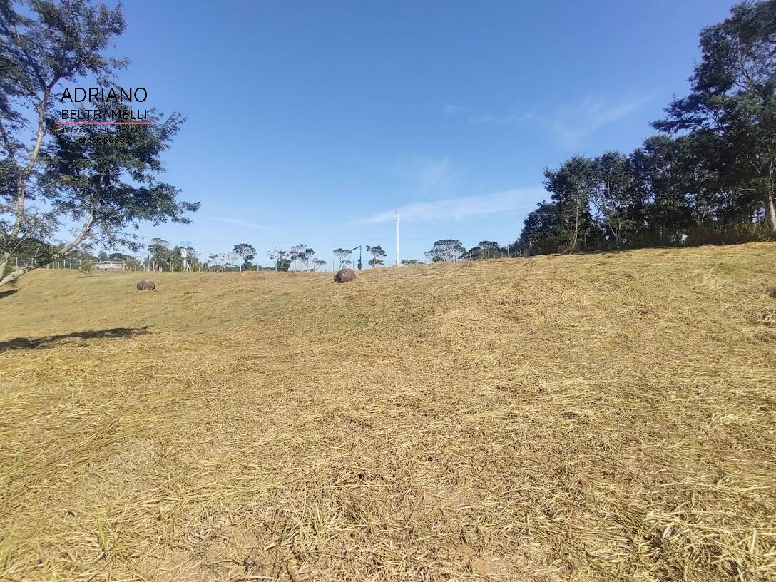 Fazenda à venda com 2 quartos, 20211m² - Foto 10