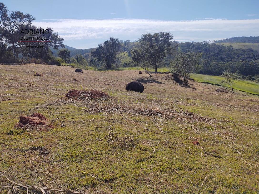 Fazenda à venda com 2 quartos, 20211m² - Foto 13