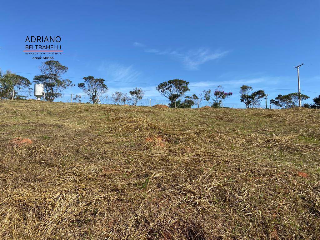 Fazenda à venda com 2 quartos, 20211m² - Foto 22