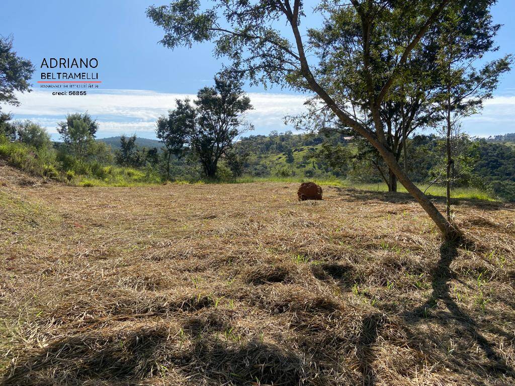 Fazenda à venda com 2 quartos, 20211m² - Foto 21