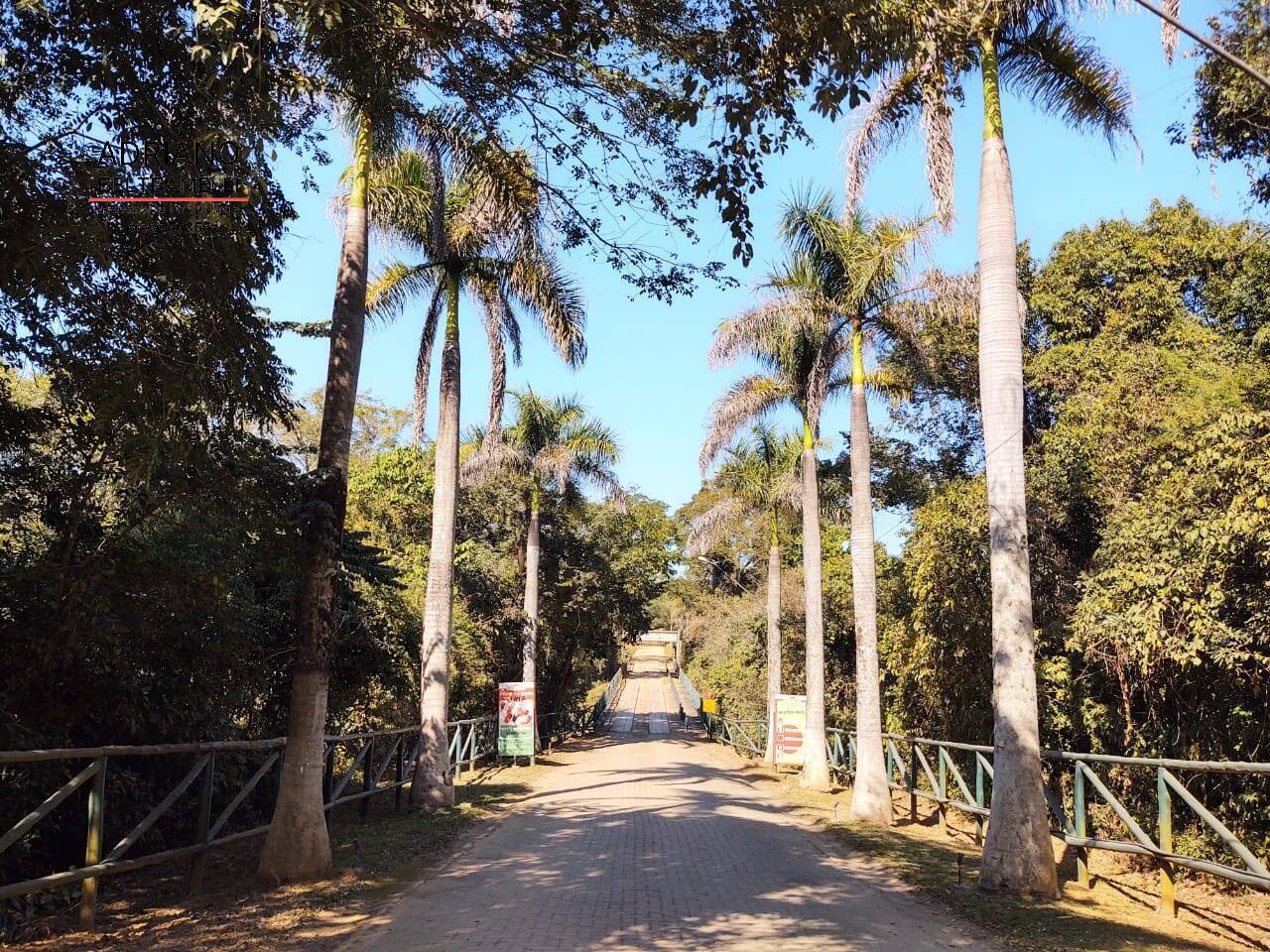 Fazenda à venda com 3 quartos, 114000m² - Foto 17