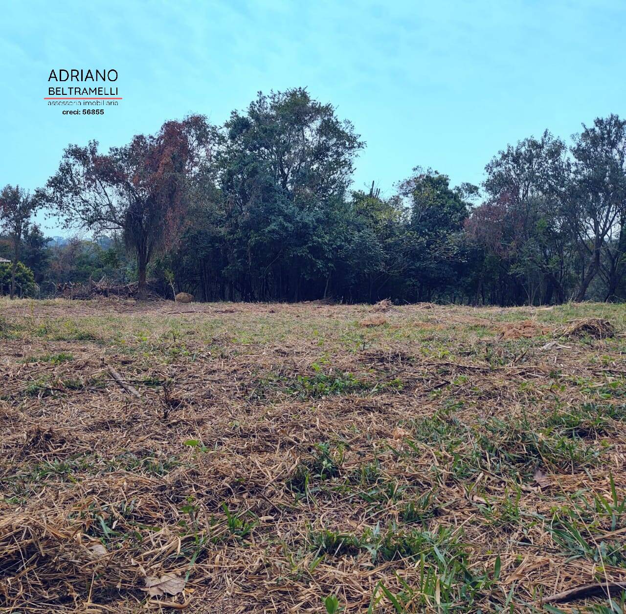 Fazenda à venda com 1 quarto, 21000m² - Foto 4