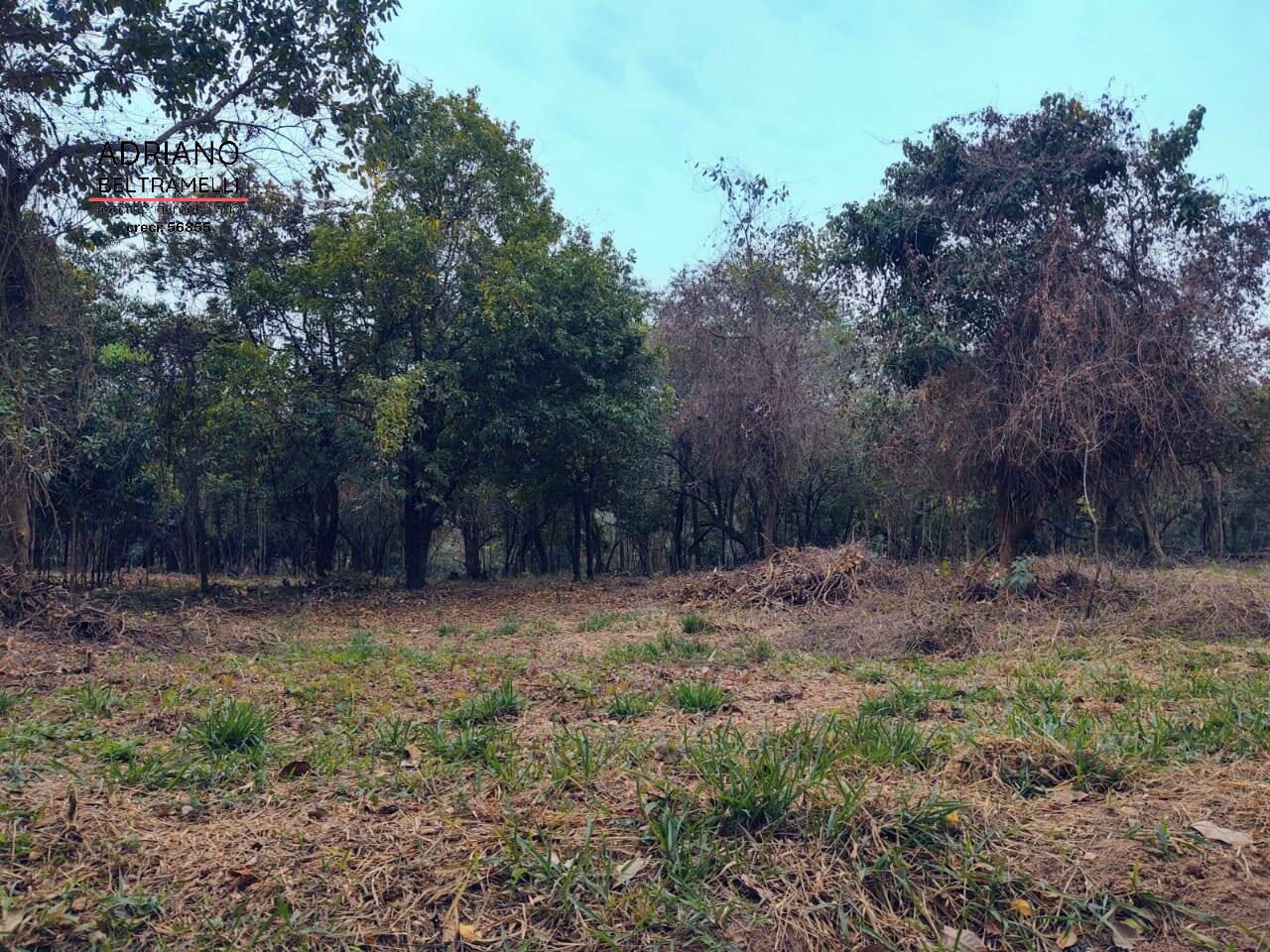 Fazenda à venda com 1 quarto, 21000m² - Foto 7