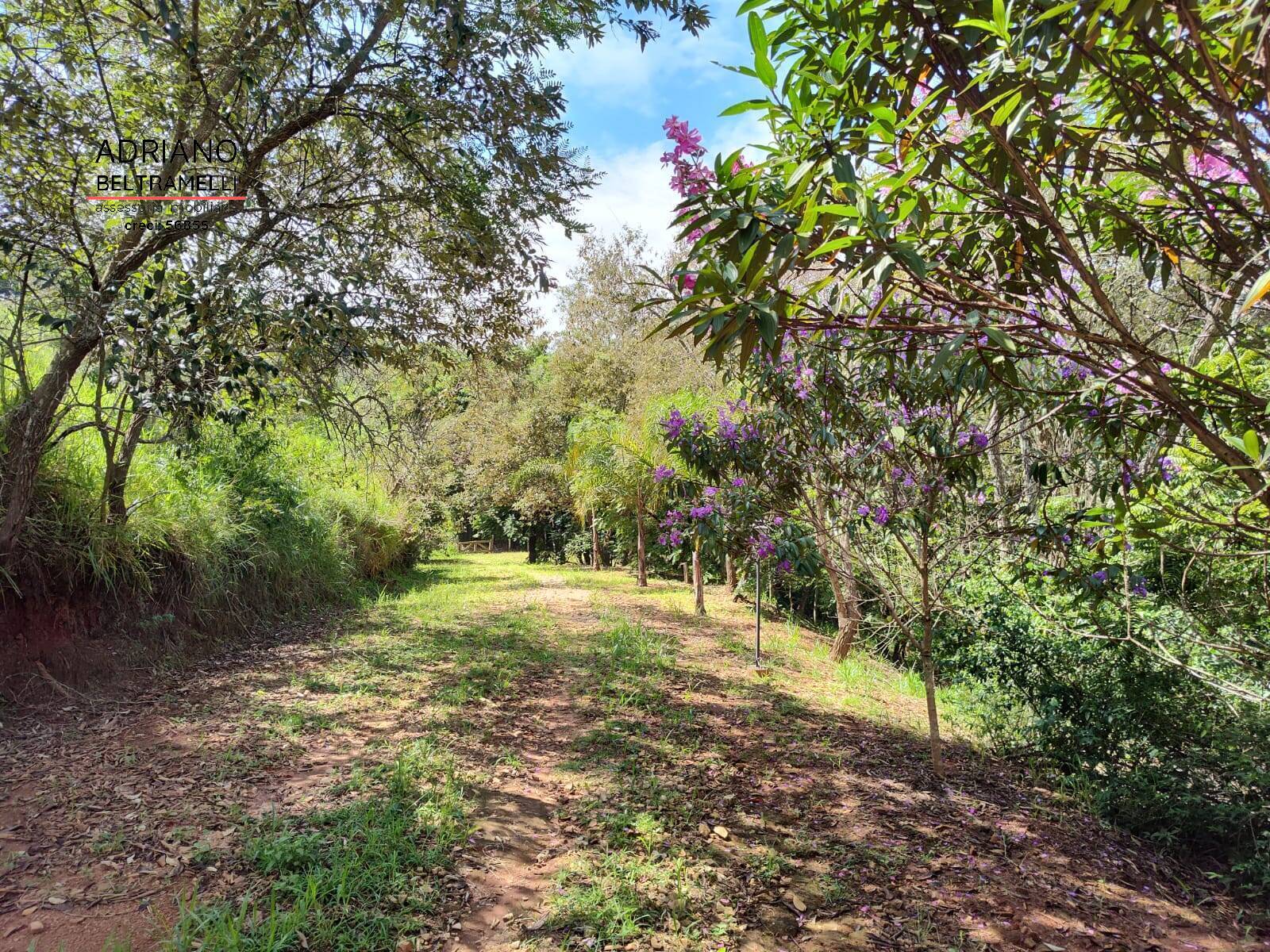 Terreno à venda, 28000m² - Foto 7