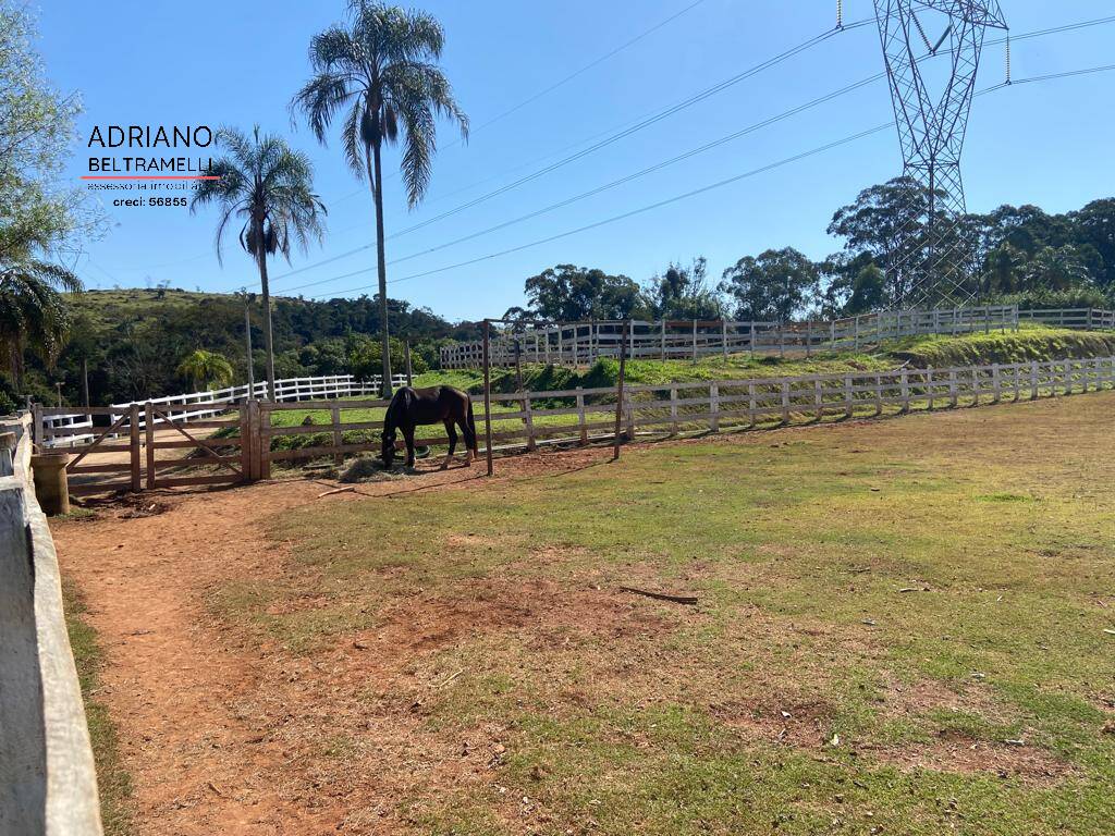 Fazenda à venda com 7 quartos, 1000m² - Foto 13