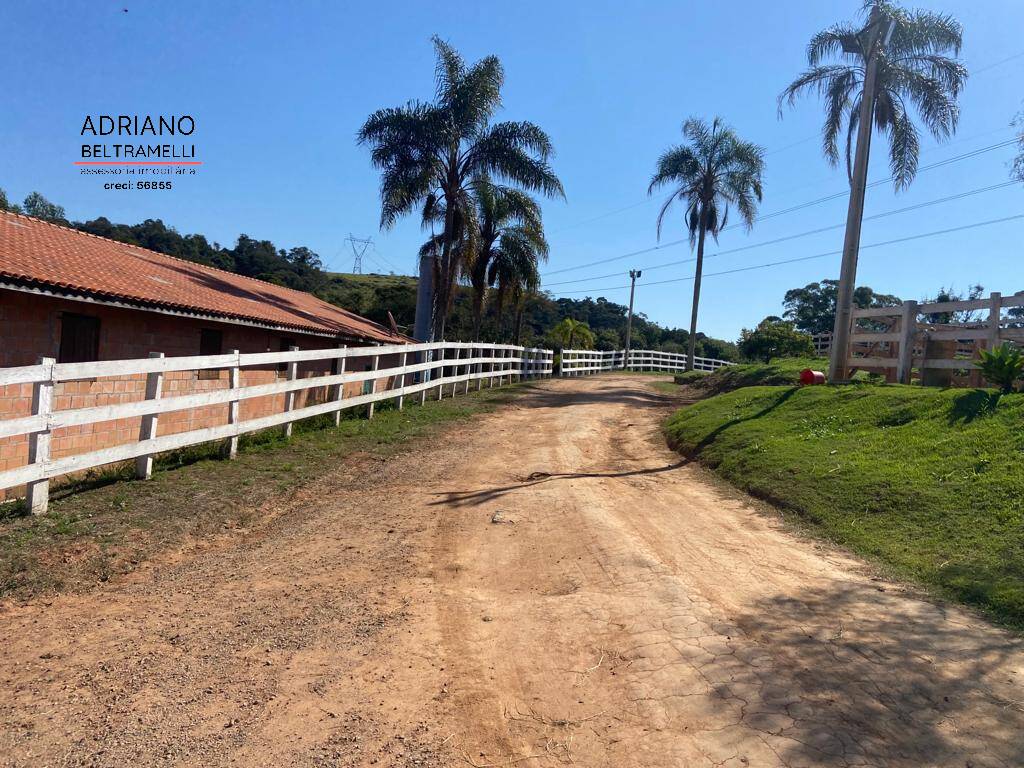 Fazenda à venda com 7 quartos, 1000m² - Foto 10