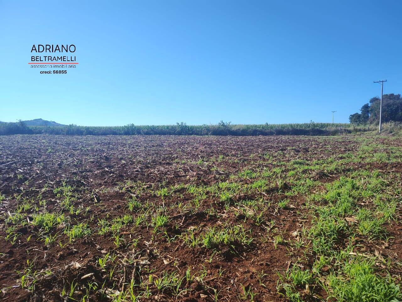 Fazenda à venda com 16 quartos, 3500m² - Foto 8