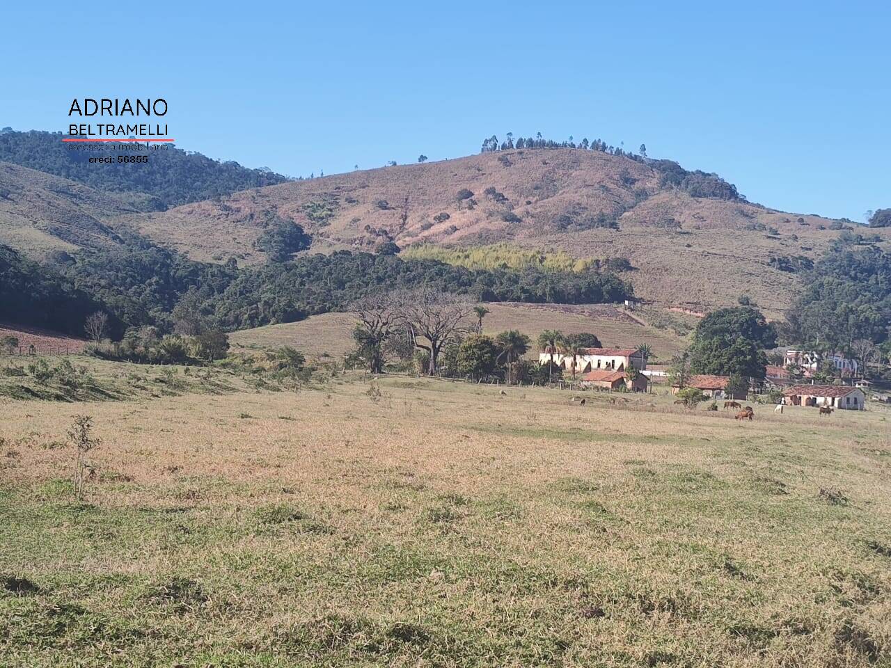 Fazenda à venda com 16 quartos, 3500m² - Foto 11