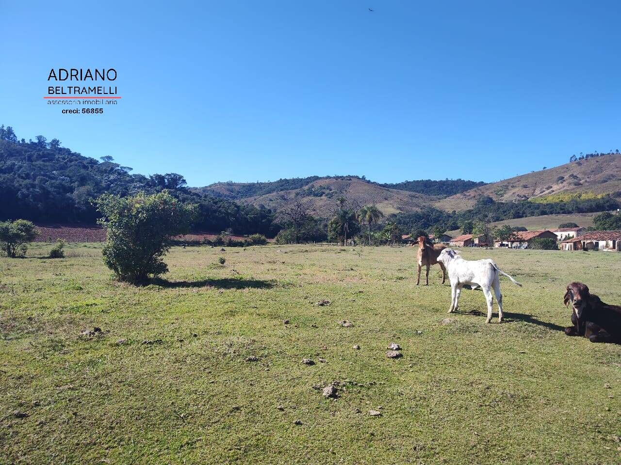 Fazenda à venda com 16 quartos, 3500m² - Foto 35