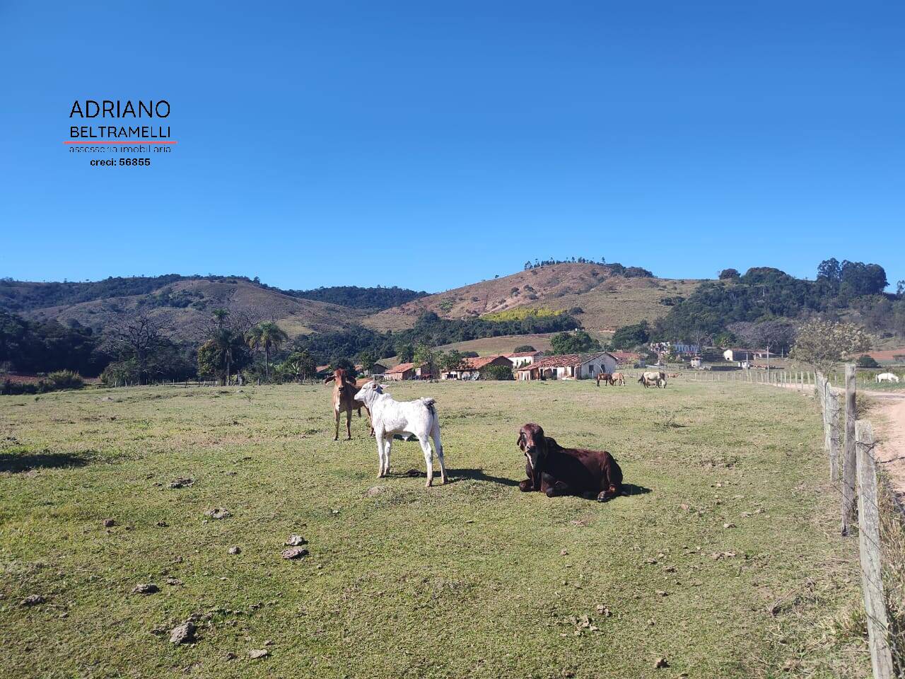 Fazenda à venda com 16 quartos, 3500m² - Foto 34