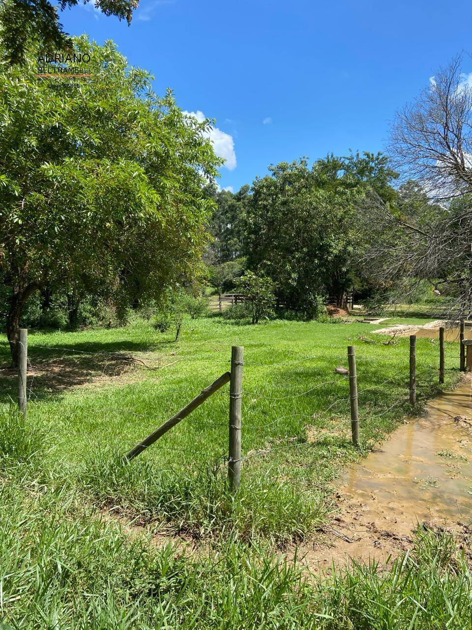 Fazenda à venda com 1 quarto, 22563m² - Foto 16