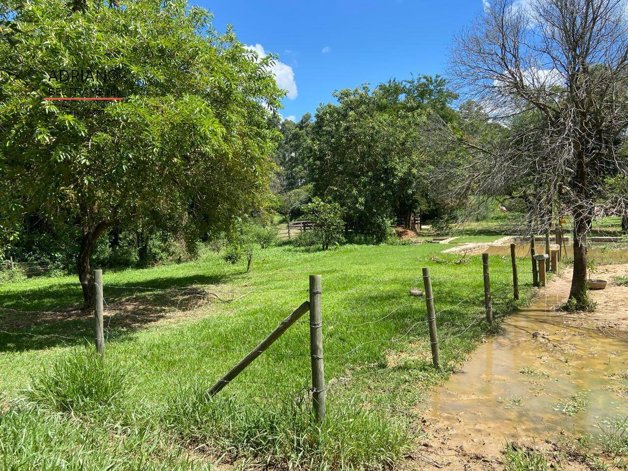 Fazenda à venda com 1 quarto, 22563m² - Foto 15