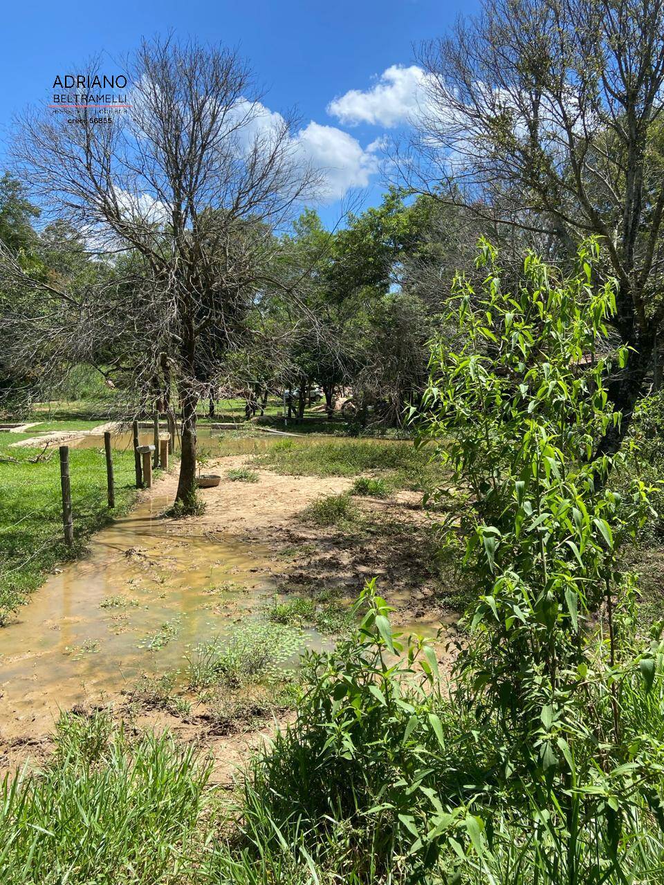 Fazenda à venda com 1 quarto, 22563m² - Foto 17