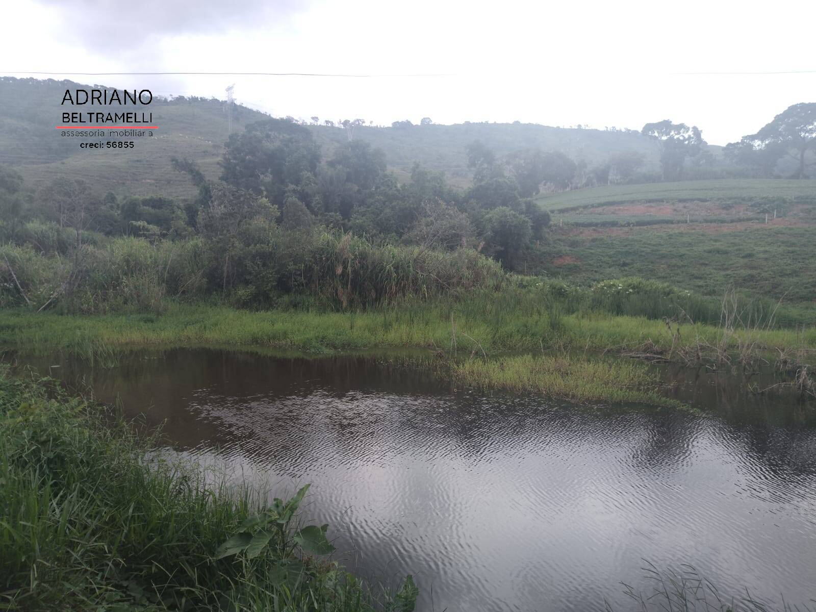 Fazenda à venda com 6 quartos, 1500m² - Foto 22