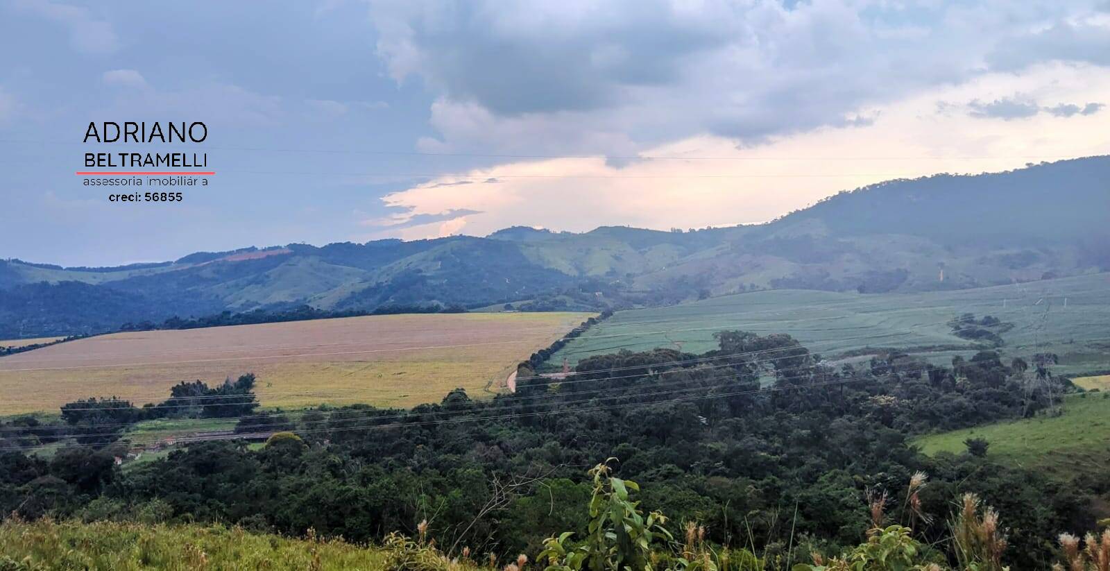 Fazenda à venda com 6 quartos, 1500m² - Foto 5