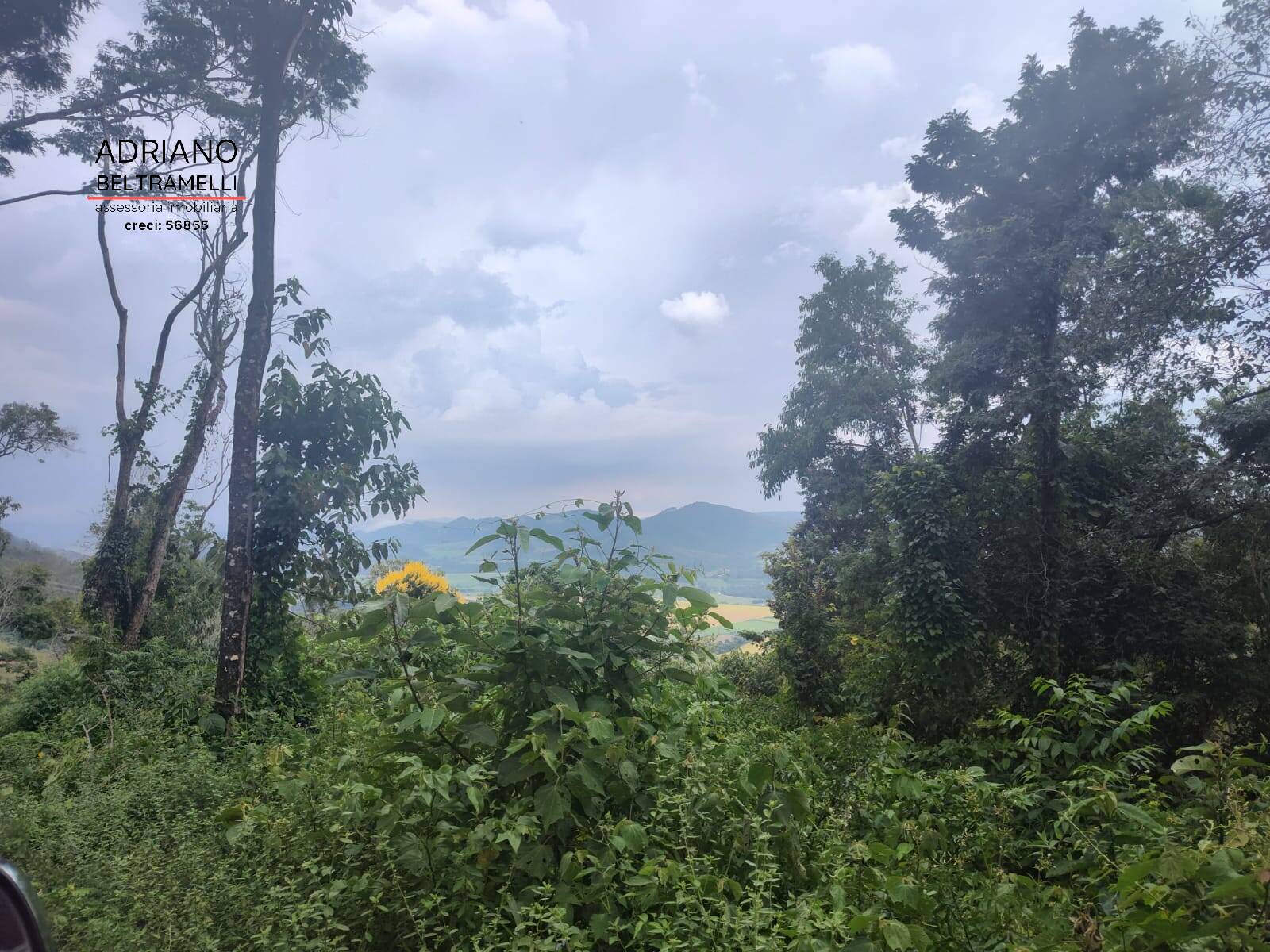 Fazenda à venda com 6 quartos, 1500m² - Foto 8