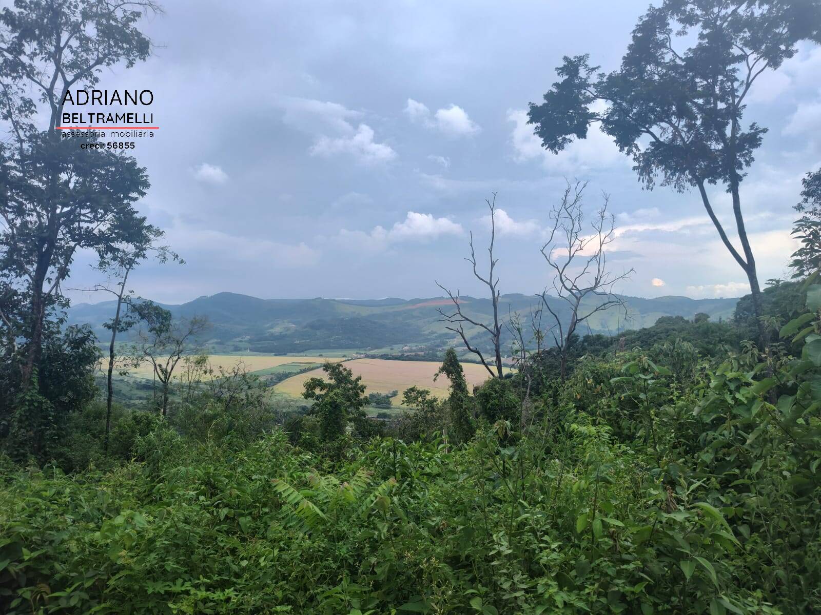 Fazenda à venda com 6 quartos, 1500m² - Foto 9