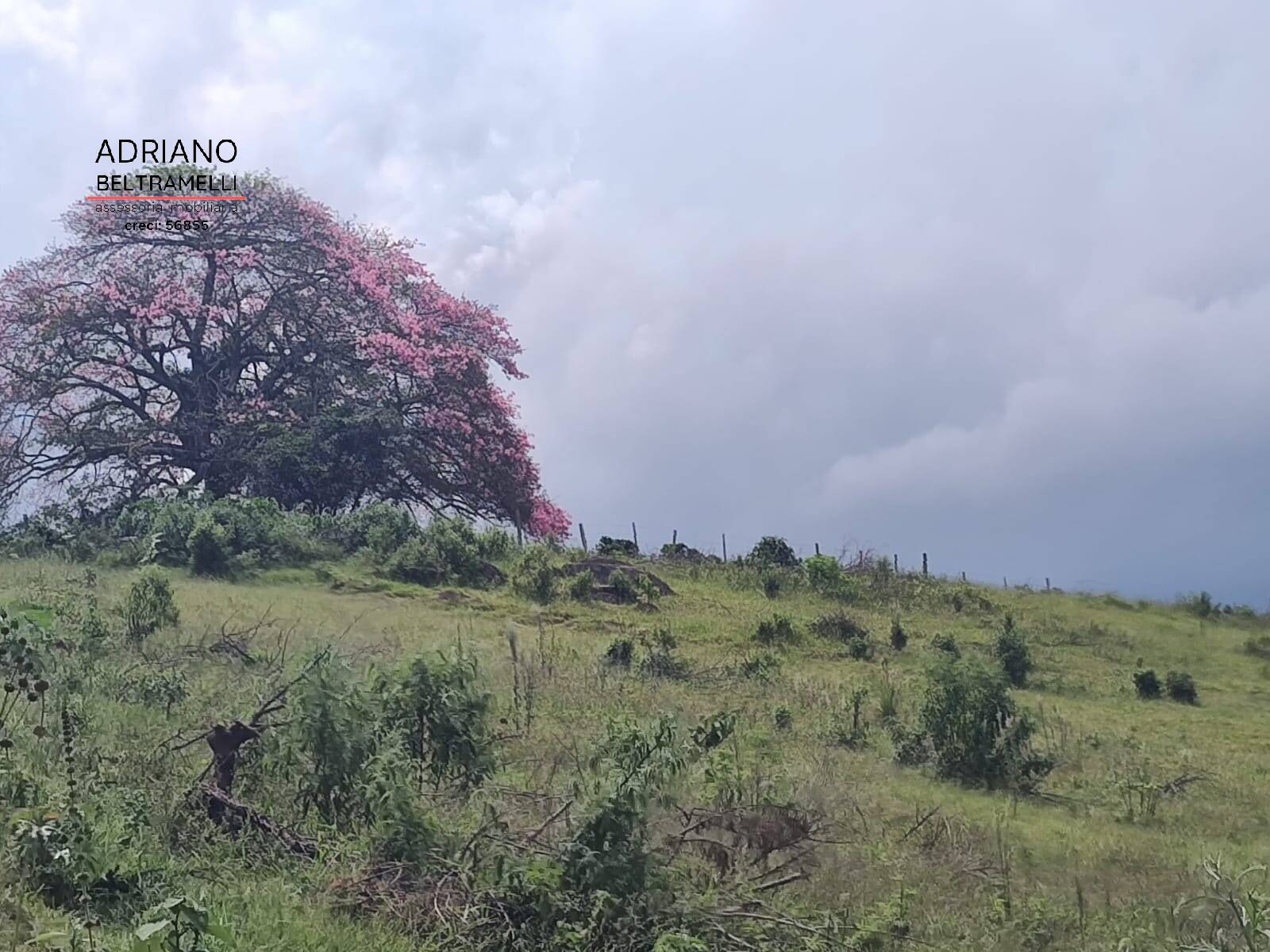 Fazenda à venda com 6 quartos, 1500m² - Foto 14