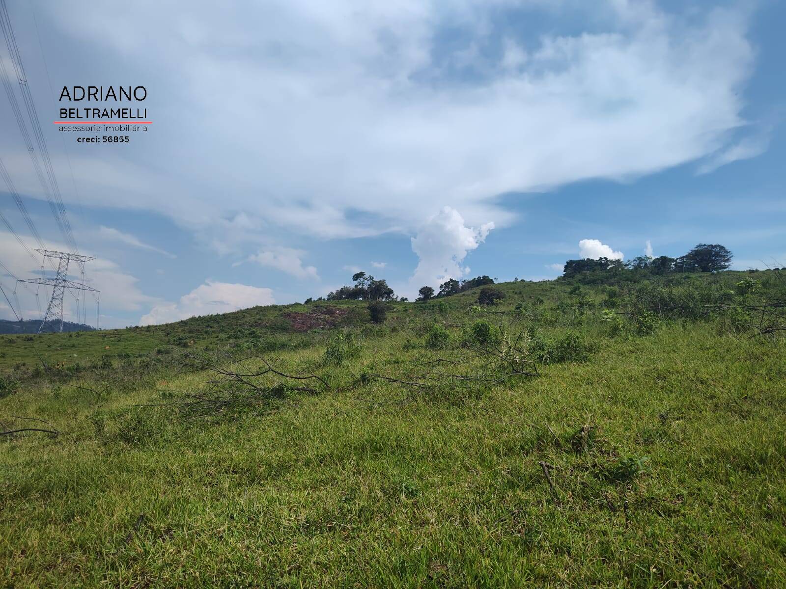 Fazenda à venda com 6 quartos, 1500m² - Foto 15