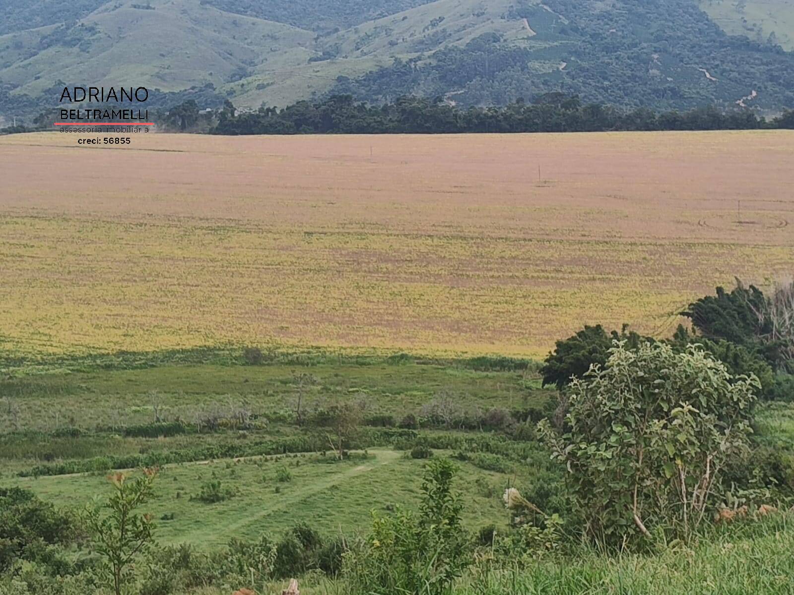 Fazenda à venda com 6 quartos, 1500m² - Foto 3