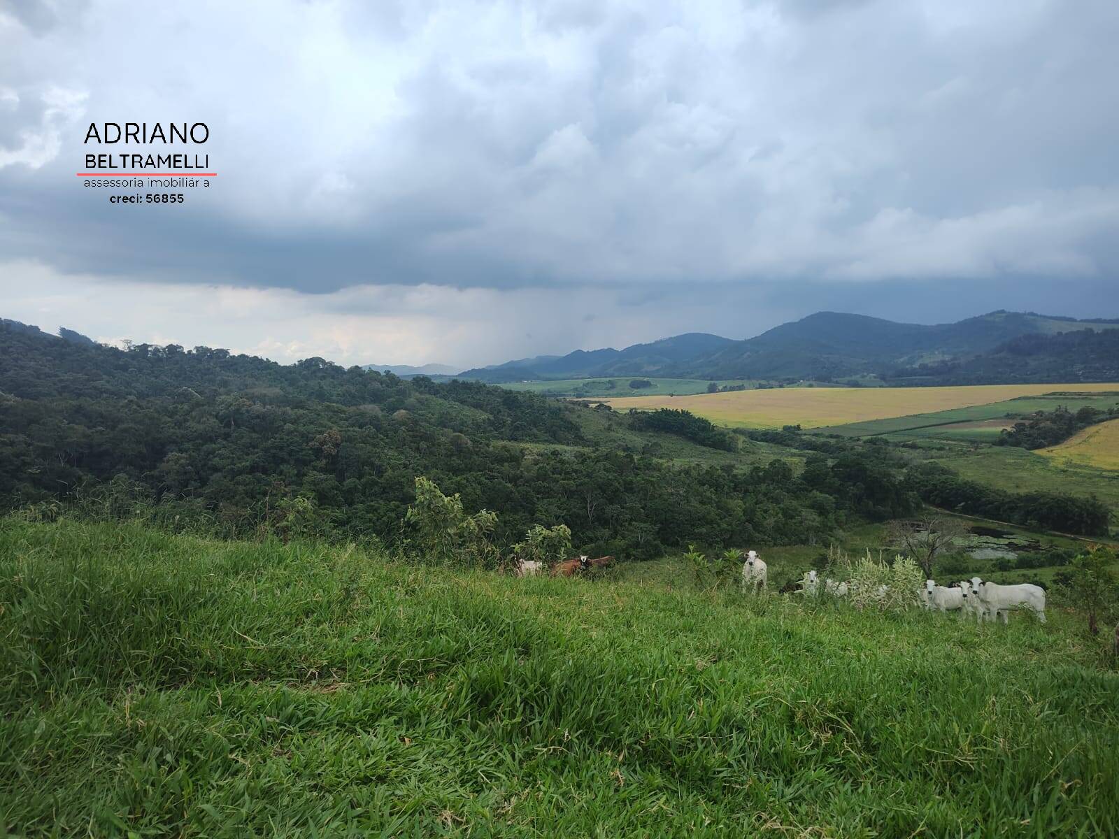 Fazenda à venda com 6 quartos, 1500m² - Foto 19