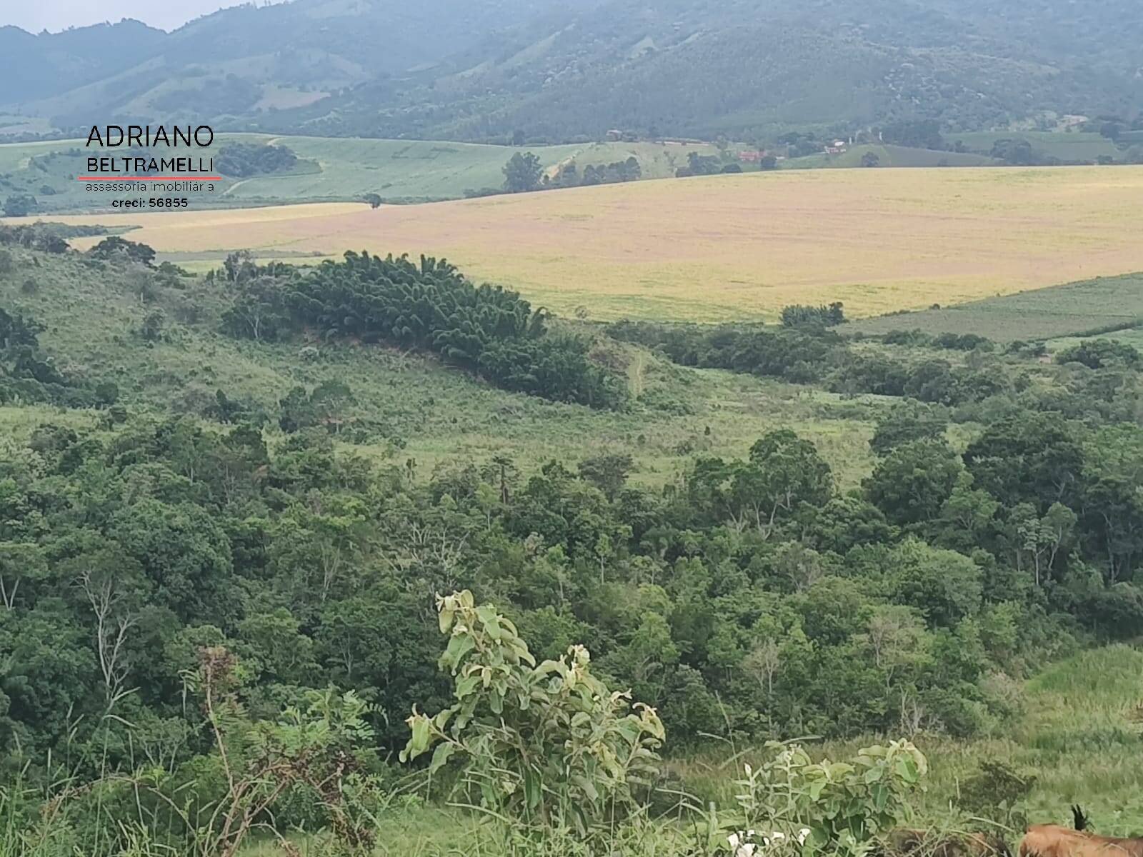 Fazenda à venda com 6 quartos, 1500m² - Foto 24