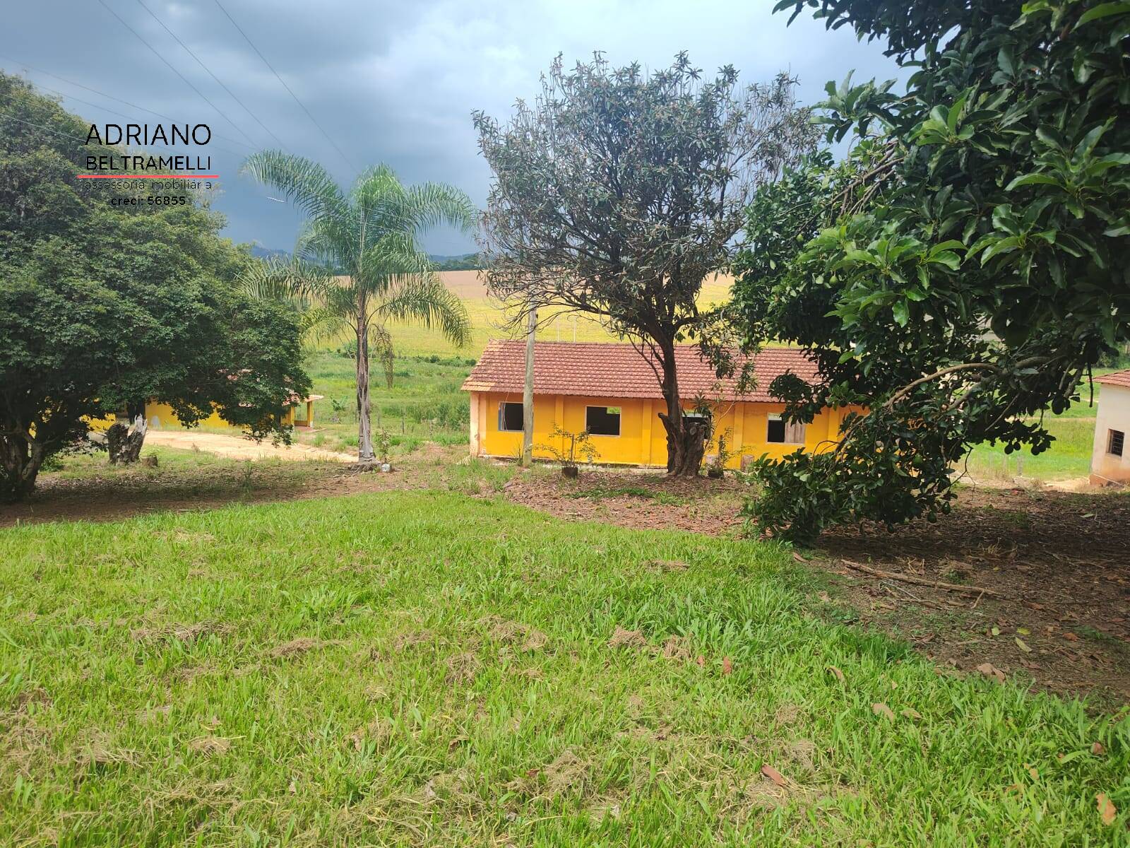 Fazenda à venda com 6 quartos, 1500m² - Foto 29