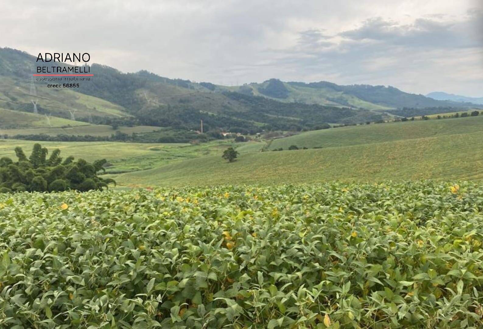 Fazenda à venda com 6 quartos, 1500m² - Foto 30