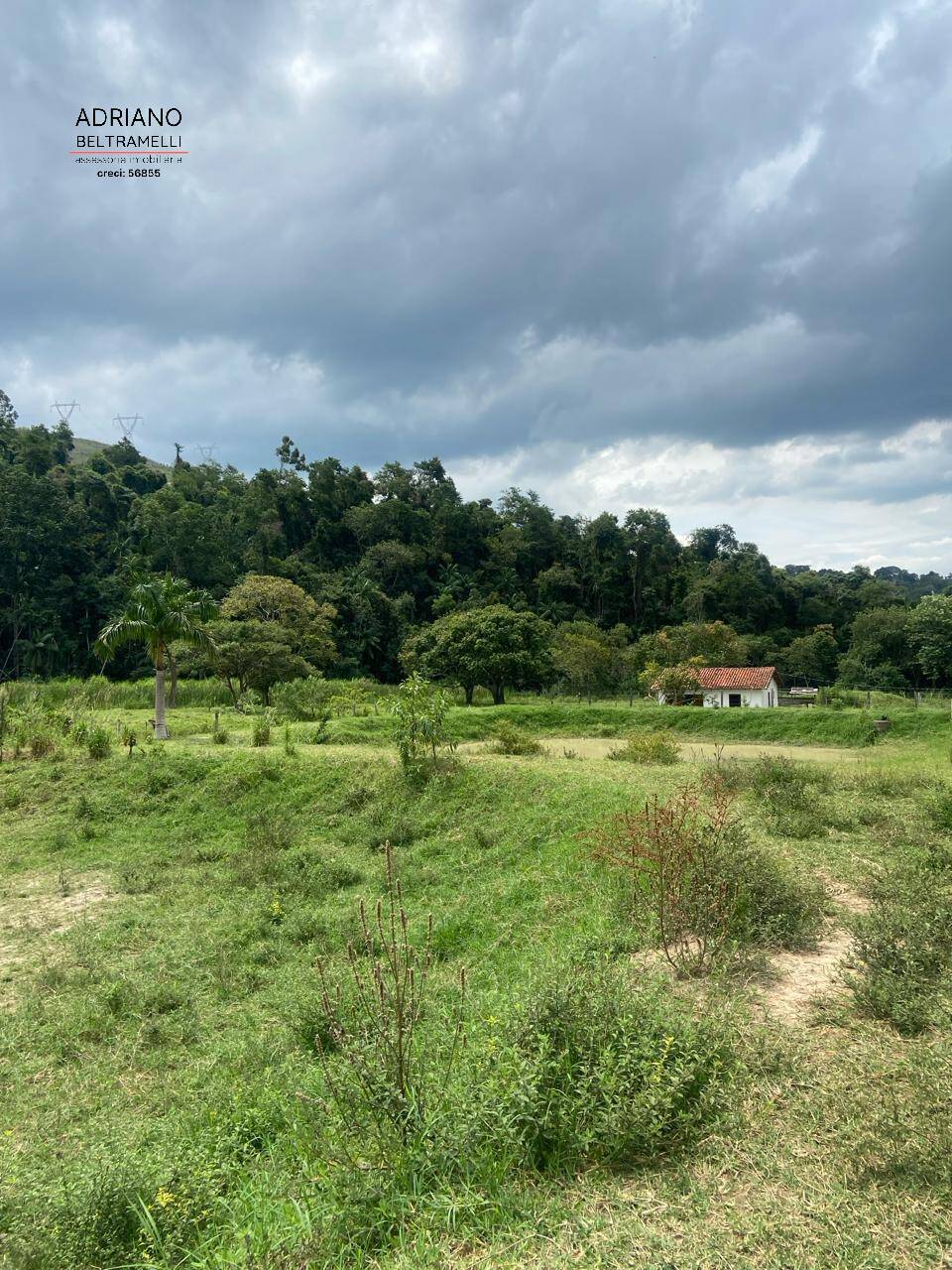 Fazenda à venda com 6 quartos, 1500m² - Foto 32