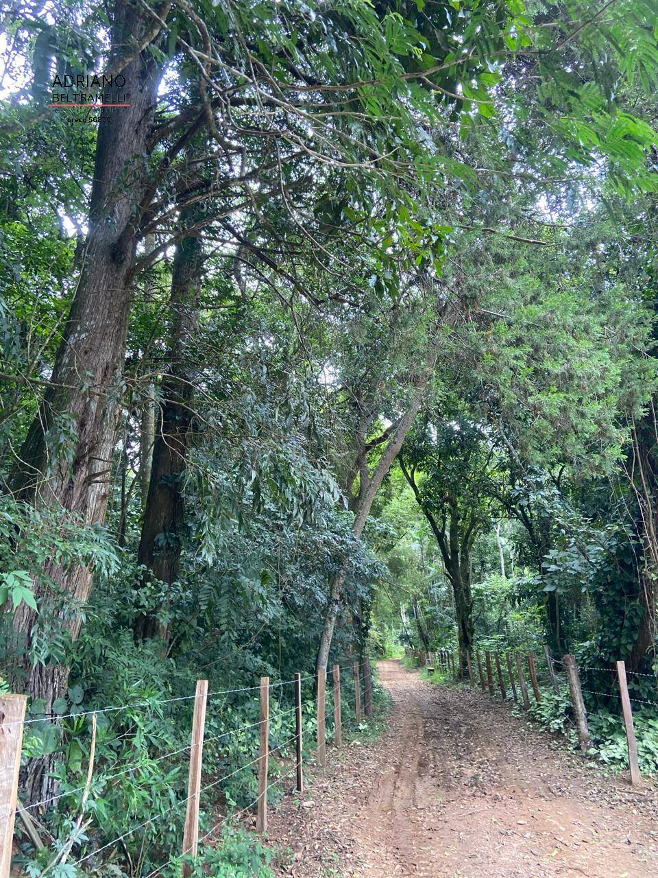 Fazenda à venda com 6 quartos, 1500m² - Foto 34