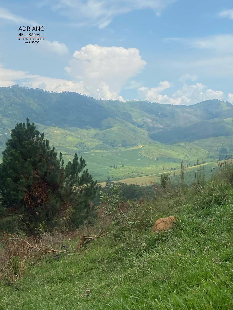 Fazenda à venda com 6 quartos, 1500m² - Foto 37