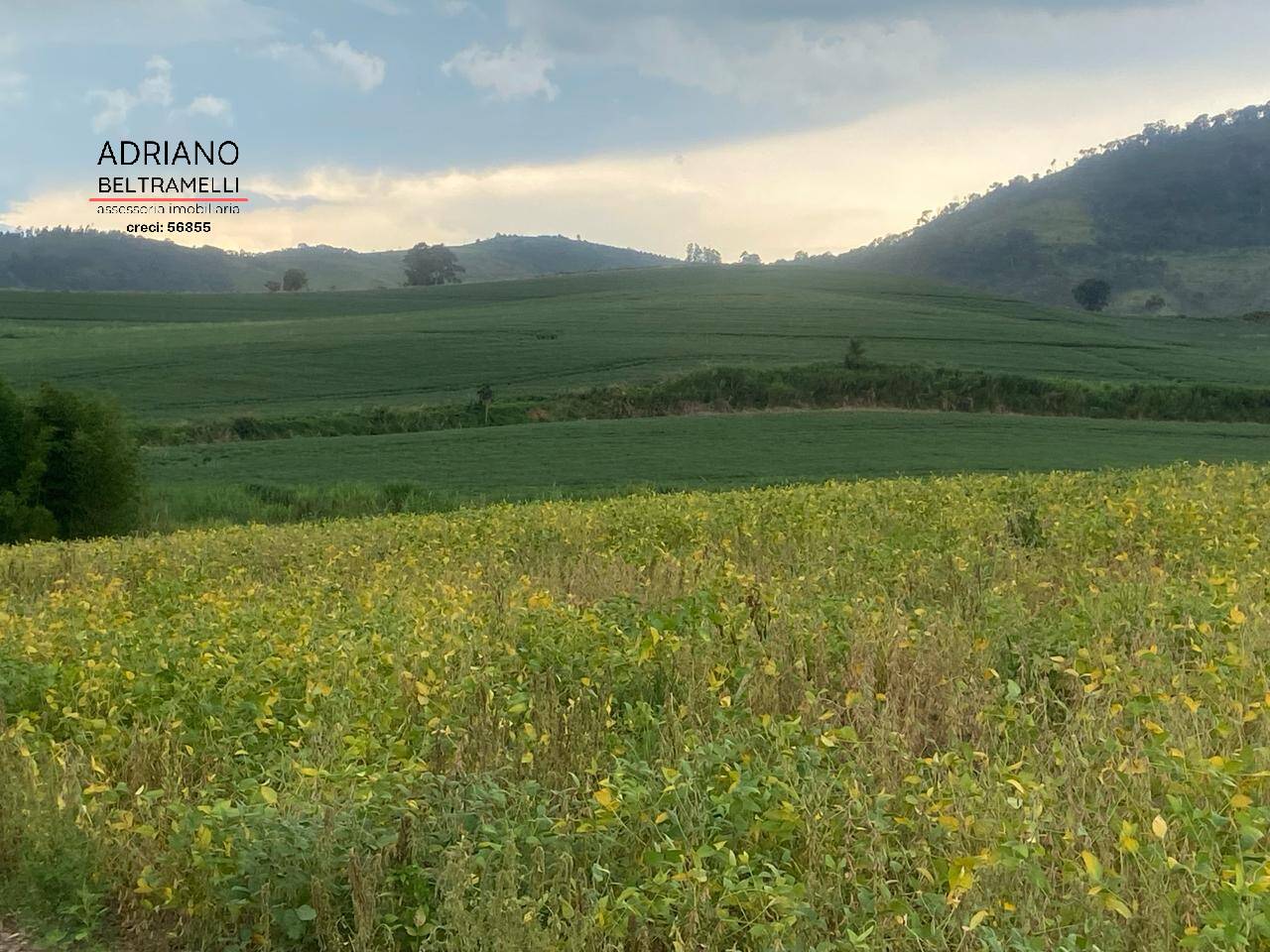 Fazenda à venda com 6 quartos, 1500m² - Foto 39