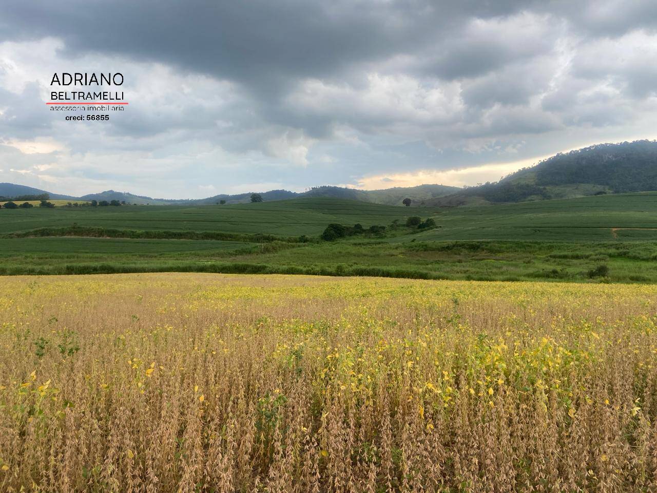 Fazenda à venda com 6 quartos, 1500m² - Foto 40