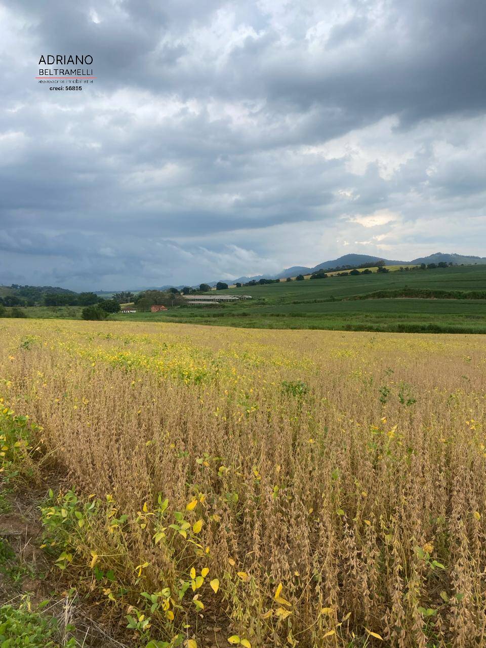 Fazenda à venda com 6 quartos, 1500m² - Foto 41