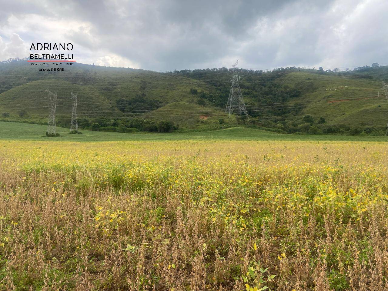 Fazenda à venda com 6 quartos, 1500m² - Foto 43