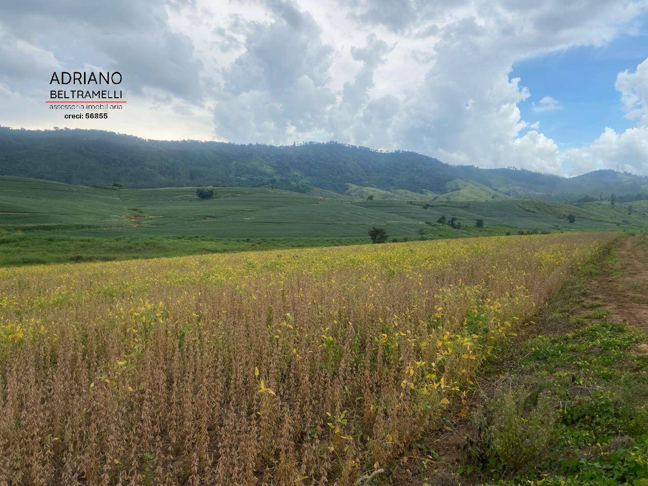 Fazenda à venda com 6 quartos, 1500m² - Foto 44