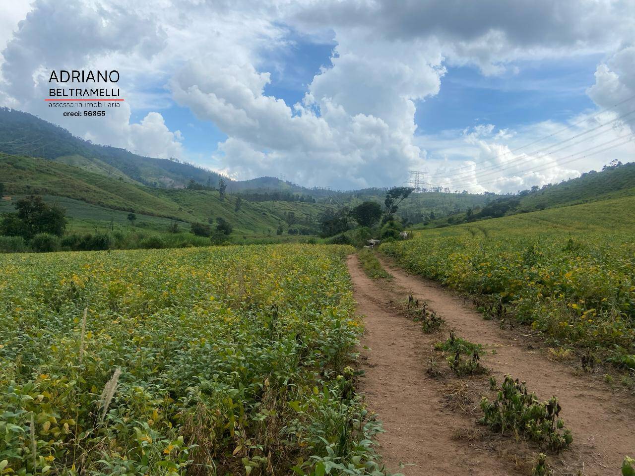 Fazenda à venda com 6 quartos, 1500m² - Foto 47