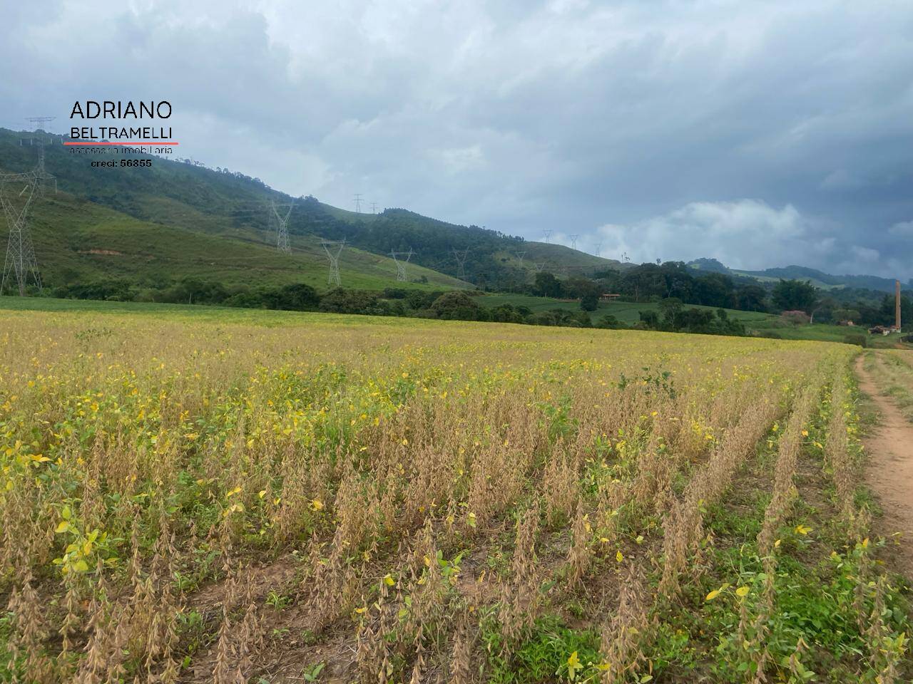 Fazenda à venda com 6 quartos, 1500m² - Foto 46