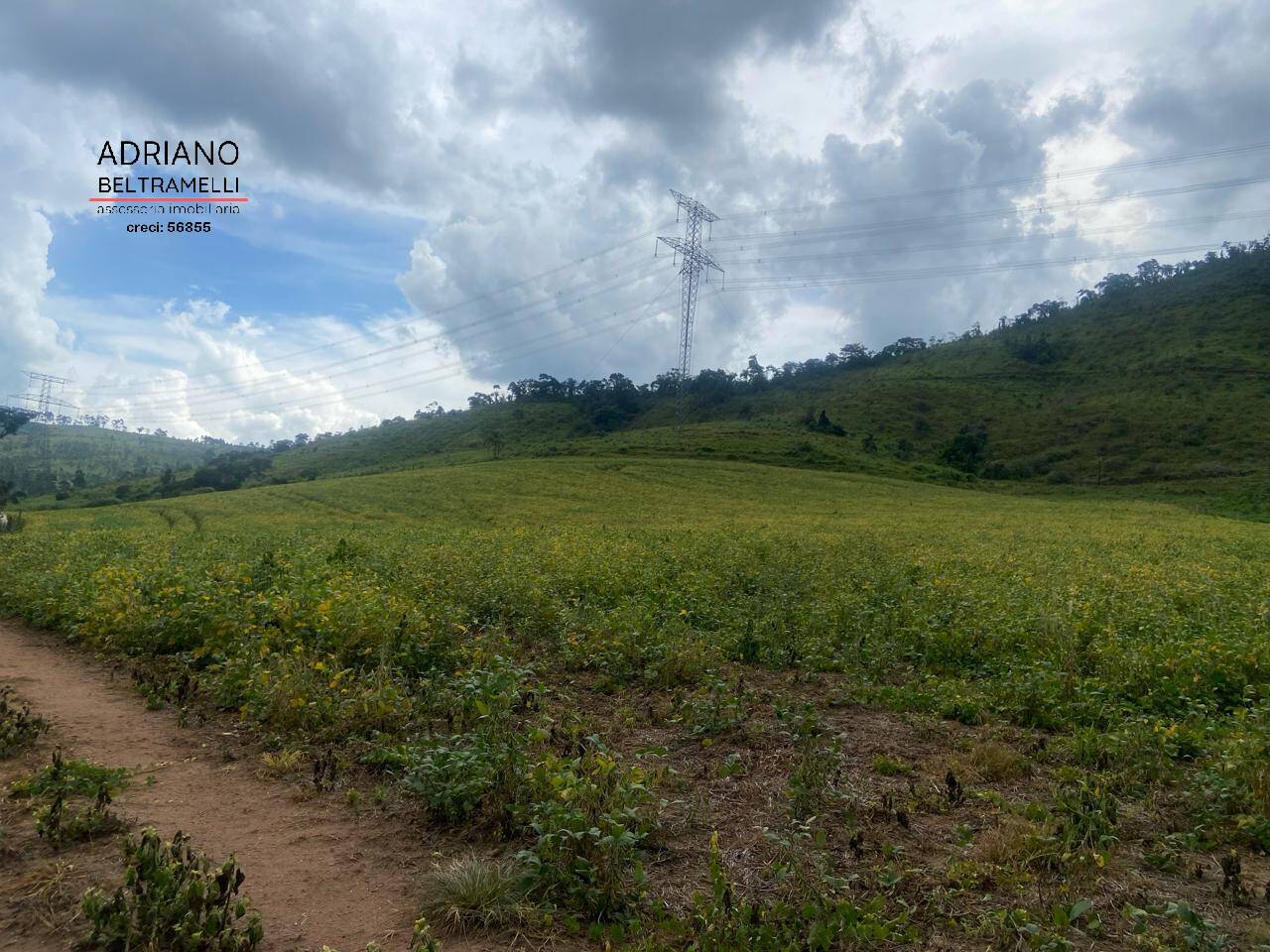 Fazenda à venda com 6 quartos, 1500m² - Foto 49