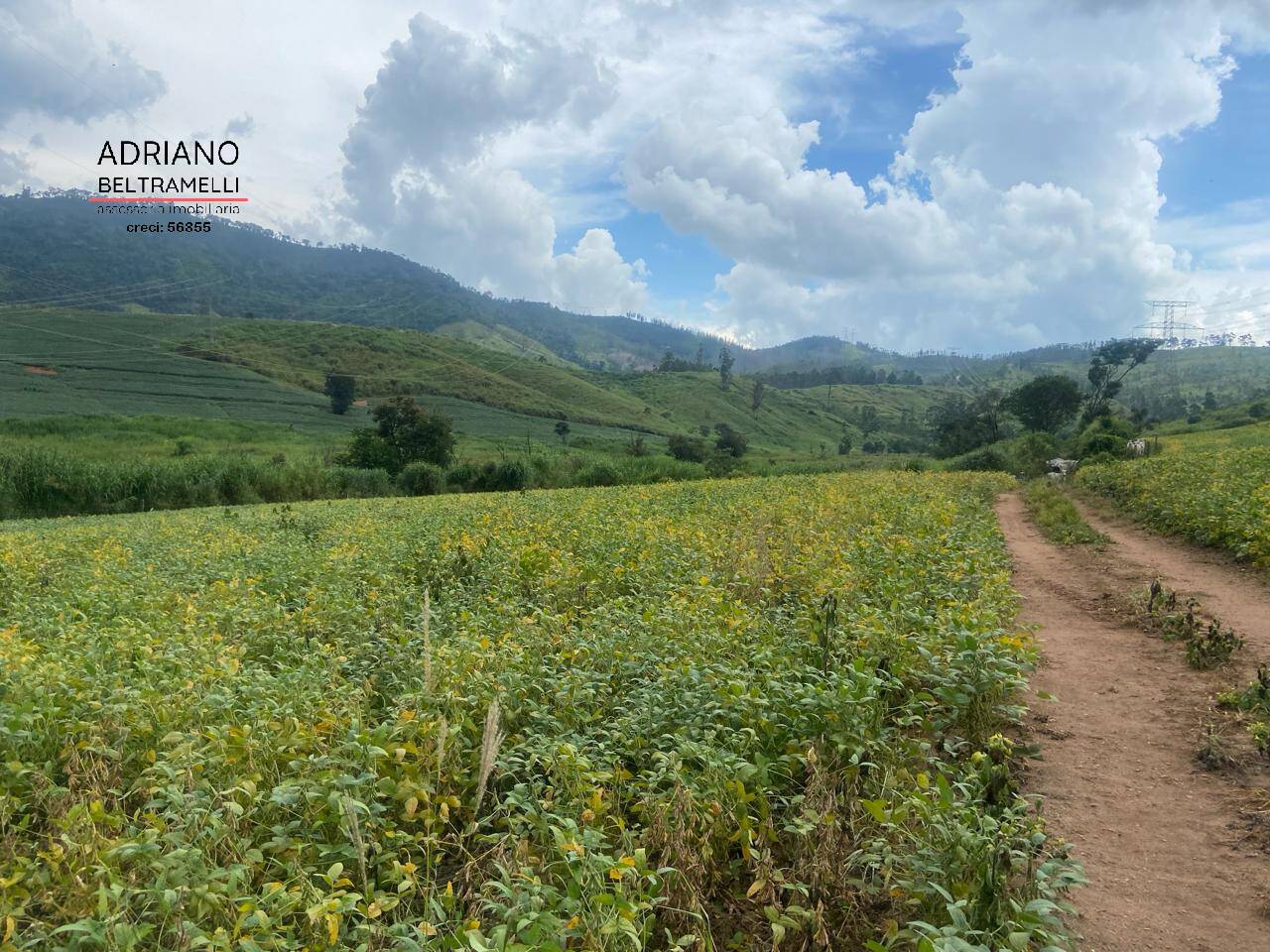 Fazenda à venda com 6 quartos, 1500m² - Foto 50