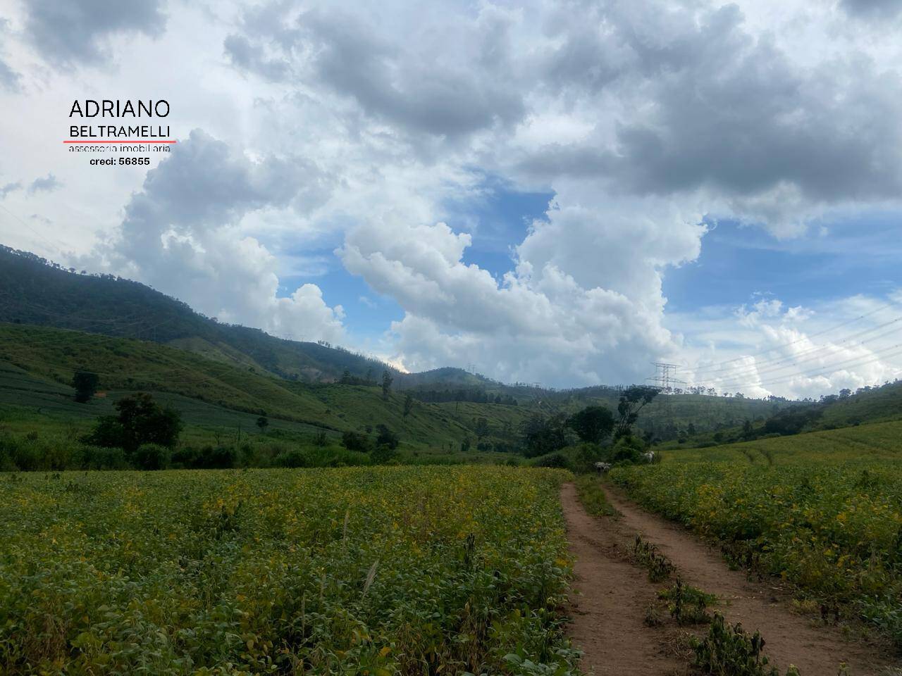 Fazenda à venda com 6 quartos, 1500m² - Foto 51