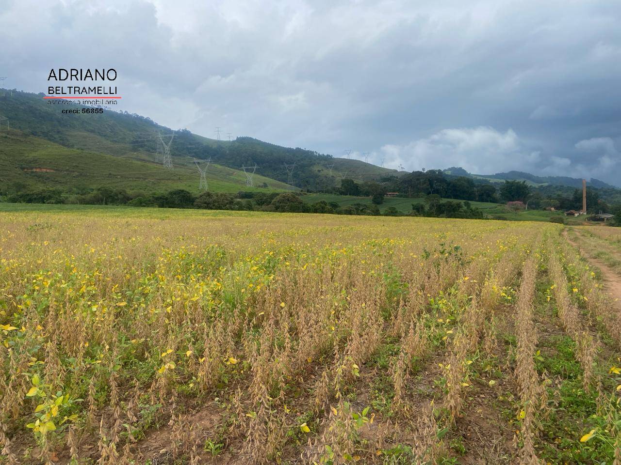 Fazenda à venda com 6 quartos, 1500m² - Foto 52