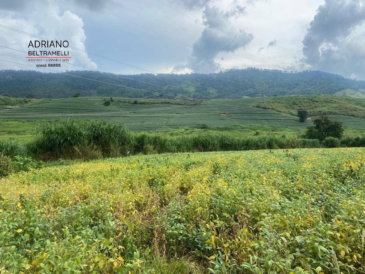 Fazenda à venda com 6 quartos, 1500m² - Foto 54