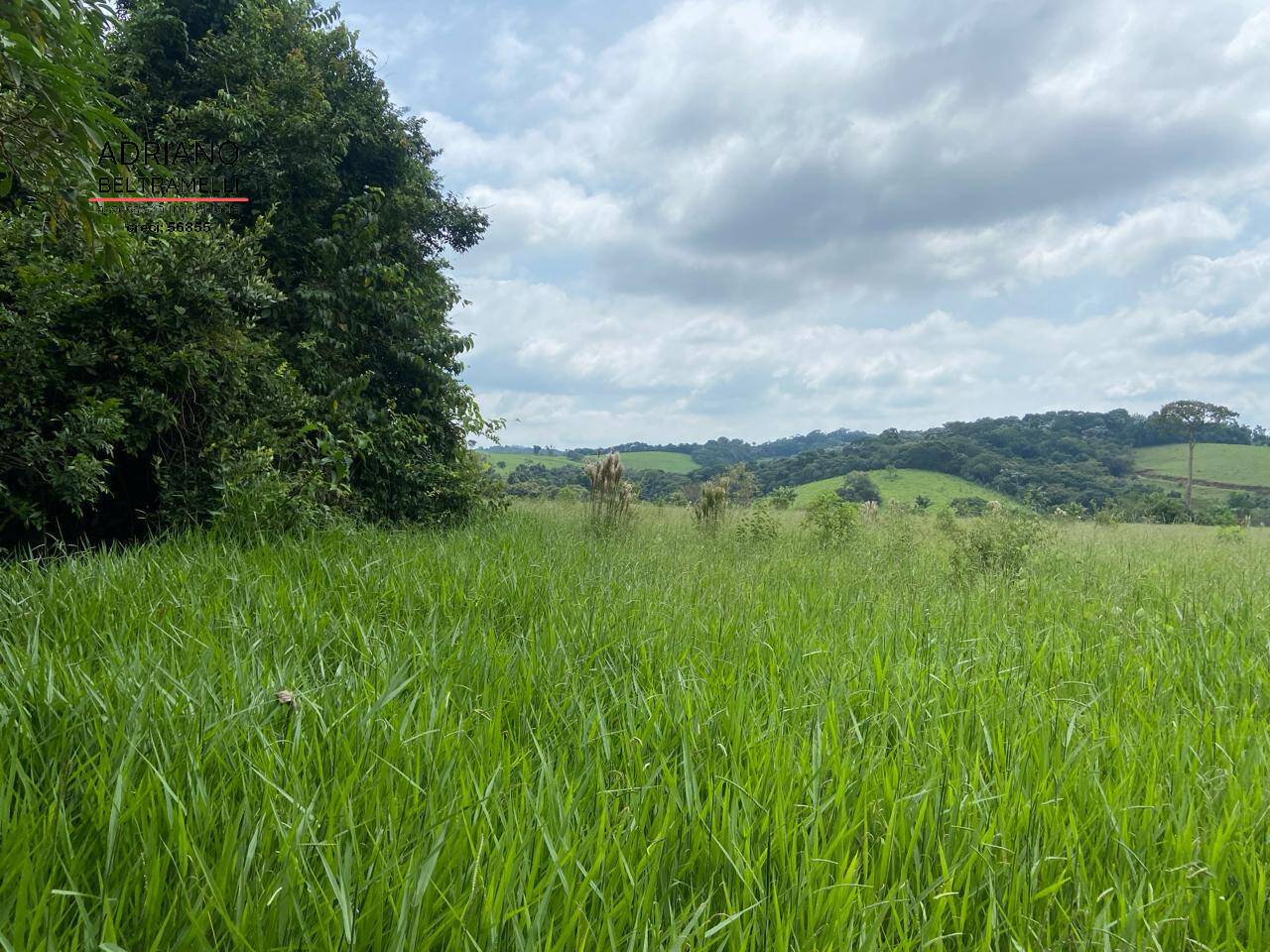 Fazenda à venda com 16 quartos, 2500m² - Foto 78