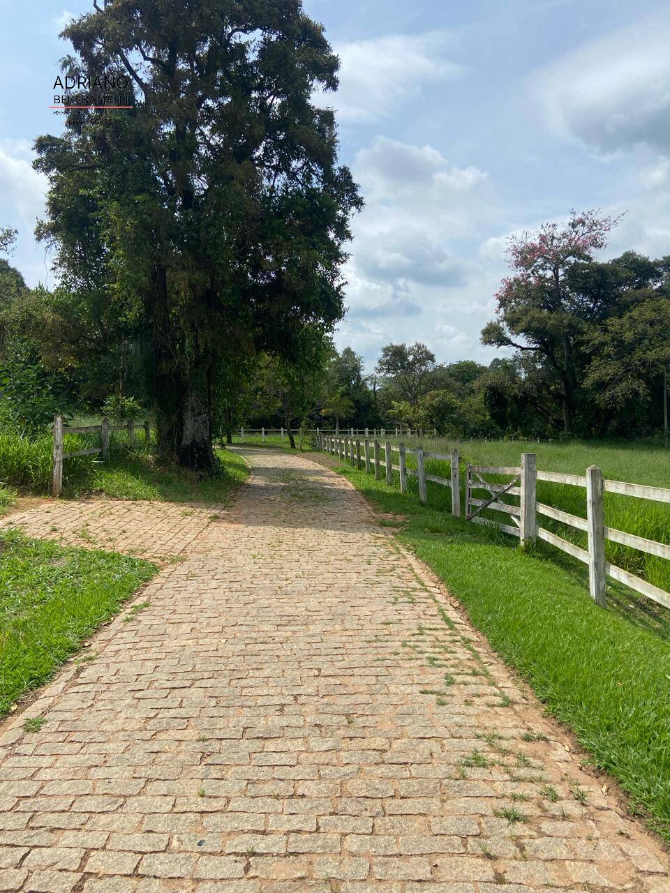 Fazenda à venda com 16 quartos, 2500m² - Foto 83