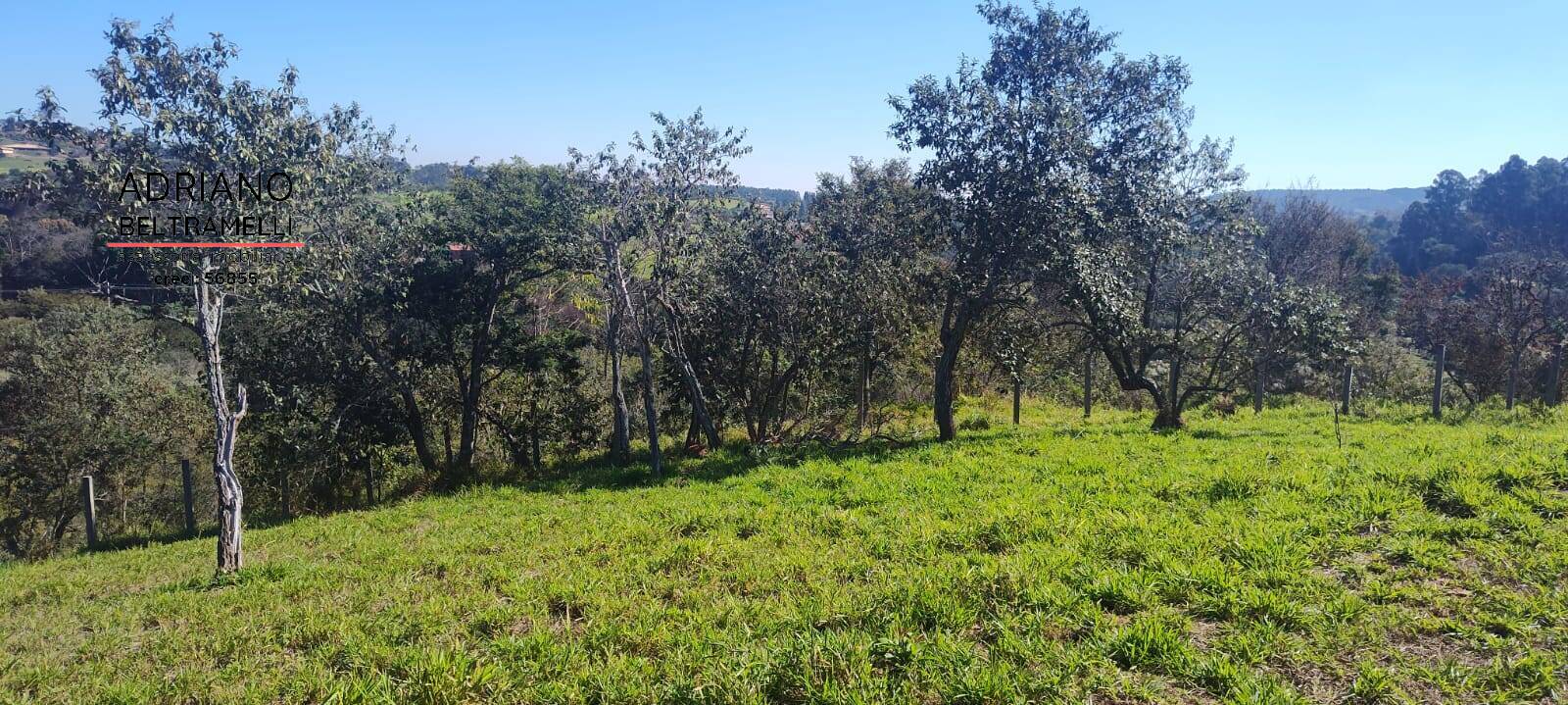 Fazenda à venda com 1 quarto, 37000m² - Foto 11